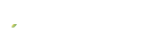 2961